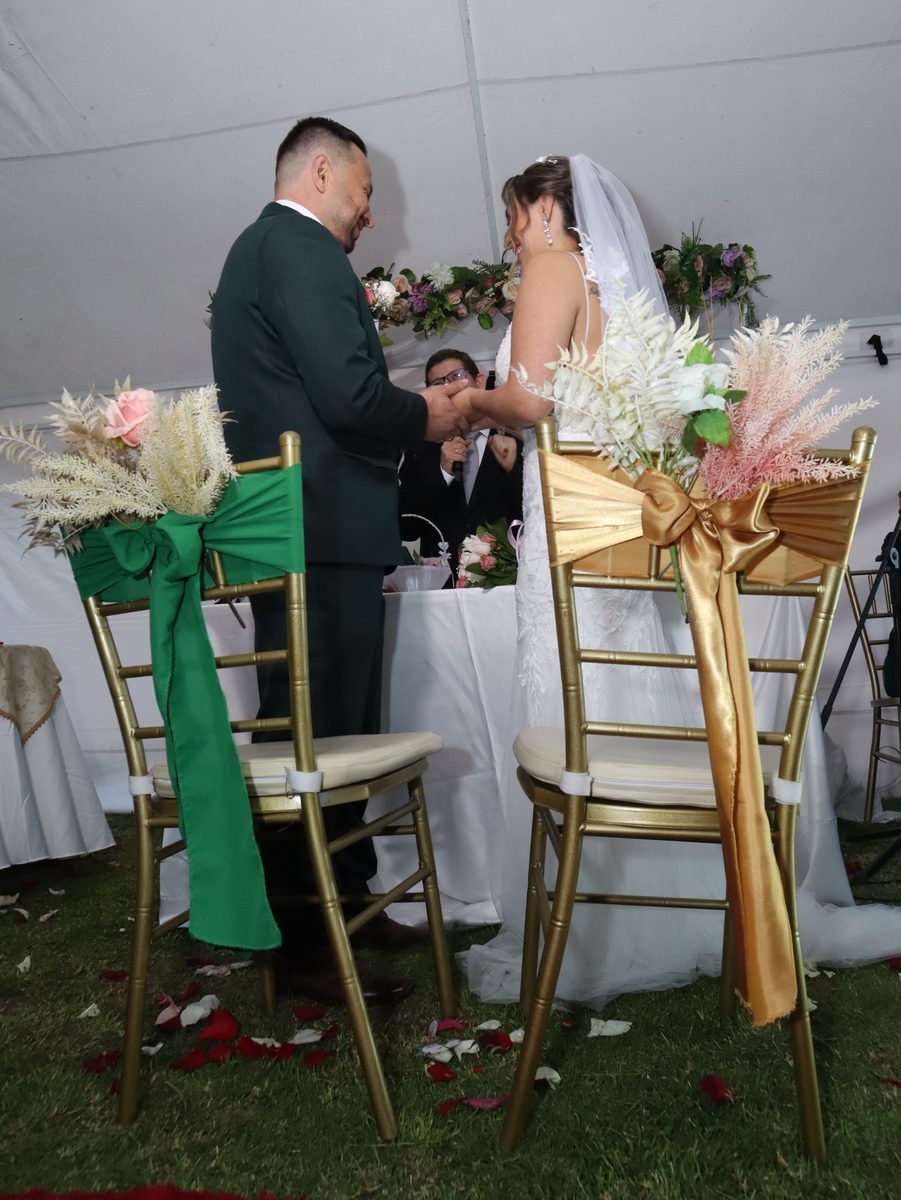 Sillas doradas vestidas con moños en verde y dorado